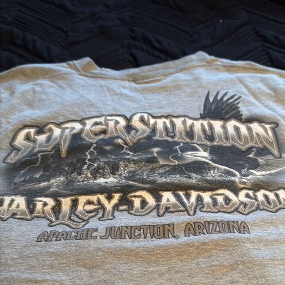 Harley-Davidson Gray Superstition Tee